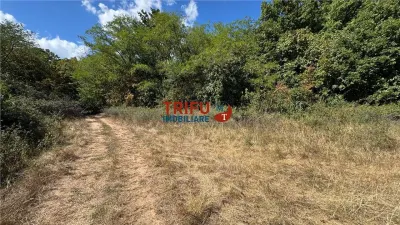 Teren de vanzare pentru cabana langa padure in Ampoita - foto 3