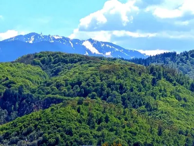 Apartament cu 2 camere in Avantgarden - foto 8