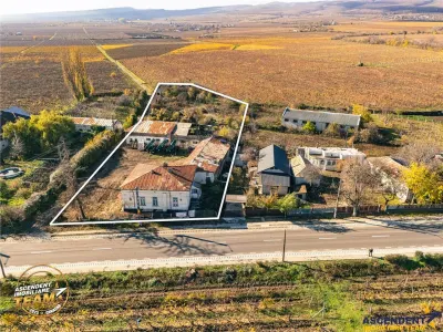 OFERTA REZERVATA! Domeniu de 4.000 mp intravilan+ casa autentica, in podgoriile Odobesti,Vrancea - foto 2