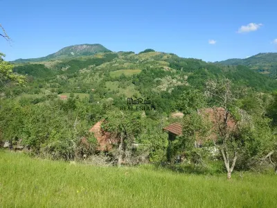 Teren+cladiri Blajeni(56000Euro cladiri+1,3ha) - foto 2