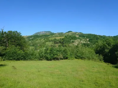 Teren+cladiri Blajeni(56000Euro cladiri+1,3ha) - foto 11