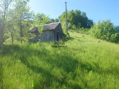 Teren+cladiri Blajeni(56000Euro cladiri+1,3ha) - foto 13