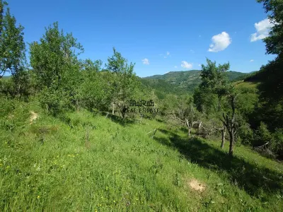 Teren+cladiri Blajeni(56000Euro cladiri+1,3ha) - foto 14