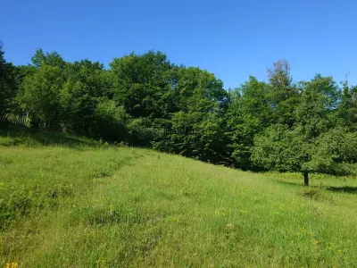 Teren+cladiri Blajeni(56000Euro cladiri+1,3ha) - foto 10