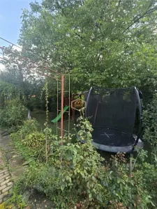 Casa de vacanta cu teren 560 m² | 9 Mai 1877, Satu Mare - foto 18