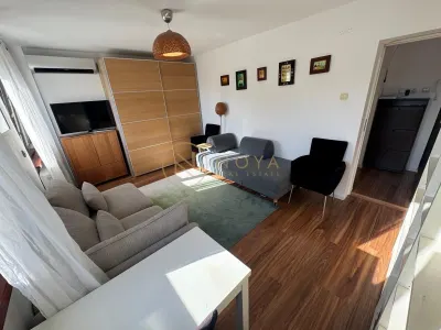 Apartament cu 2 camere de inchiriat Parcul Circului pet friendly - foto 15