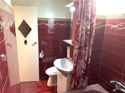 RECO Oradea apartament 3 camere de inchiriat, gata de mutat. - foto 11