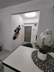 Garsoniera - Zona Nicolina (Podu Ros) - Lux - foto 5