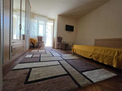 Apartament 1 camera-Elisabetin - foto 2