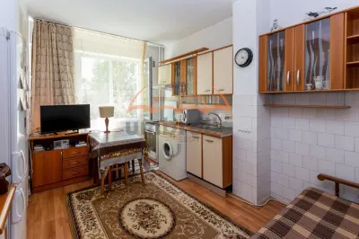 Garsoniera de inchiriat, 39m², cart. Gruia, cu garaj - foto 4