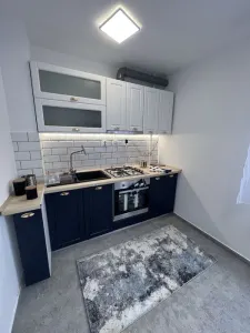 Garsonieră/Apartament o cameră de închiriat — Zona Tătărași - foto 6