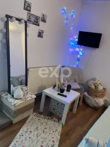 Vanzare studio Big - foto 1