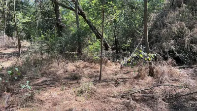 Vand teren in padure zona Hula Bradului - foto 11