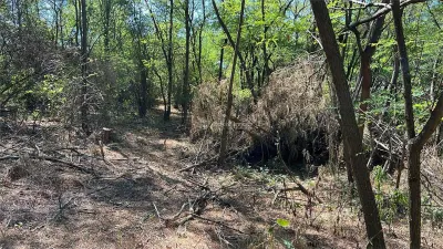 Vand teren in padure zona Hula Bradului - foto 10