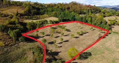 VIDEO | Super view | Teren 8.500 m² in Maramures | Viitorul tau colt de liniste - foto 2