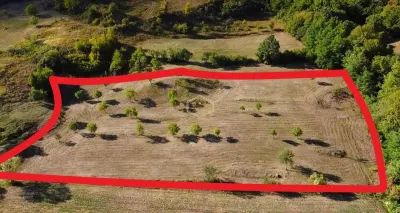 VIDEO | Super view | Teren 8.500 m² in Maramures | Viitorul tau colt de liniste - foto 3