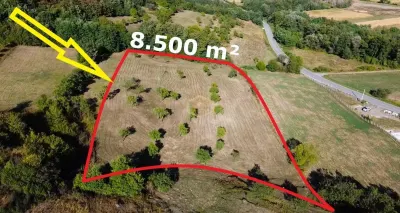 VIDEO | Super view | Teren 8.500 m² in Maramures | Viitorul tau colt de liniste - foto 4