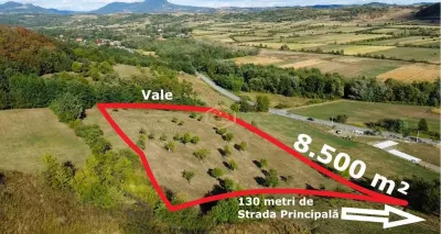 VIDEO | Super view | Teren 8.500 m² in Maramures | Viitorul tau colt de liniste - foto 8
