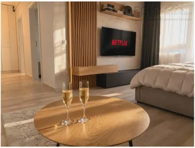 Garsoniera decomandata moderna si spatioasa Sanpetru - foto 4