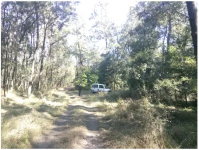 Teren extravilan padure Buzau,Costesti - foto 3