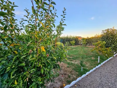 Vila P+M /4 camere, constructie 2015, teren 1000 mp, Varsatura - foto 17