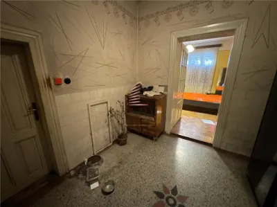 Casa cu teren de 411 mp Cantemir - foto 4