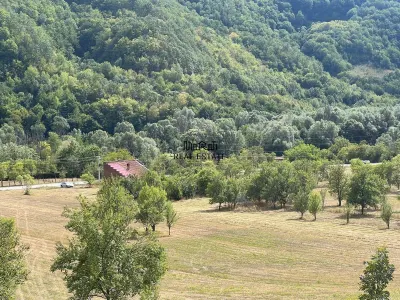 Teren+Casă Mihăileni - foto 12