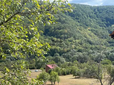 Teren+Casă Mihăileni - foto 13