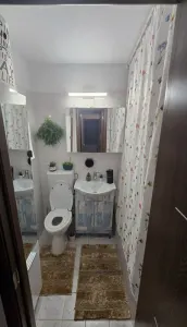 Vand apartament 2 camere drumul taberei valea oltului/ valea argesului - foto 7