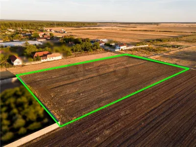 RECO Teren de vanzare in Gepiu 5832m2 - foto 4