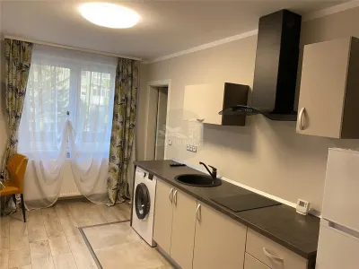 Apartament tip studio cu balcon pe Bd.  Mihai Viteazu - foto 11
