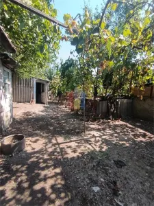 Teren 378 mp, cu casa demolabila, deschidere 8 m, Pisc - foto 11