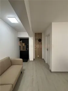 Spatiu comercial de inchiriat, Bd. Traian zona Muzeului de Mineralogie - foto 4