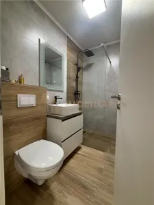 Spatiu comercial de inchiriat, Bd. Traian zona Muzeului de Mineralogie - foto 6