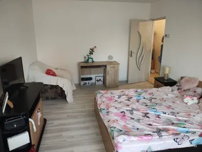 Apartament 1 cameră decomandat | Nicolina – Kaufland | Etaj 1/4 | Centrală proprie - foto 2