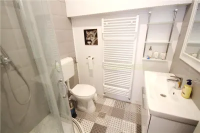 Apartament deosebit cu 2 camere de inchiriat in Centrul Istoric Brasov - foto 9