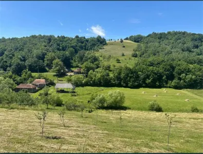 RECO, teren intravilan, loc superb de cabana, Calatea-Bihor - Calatea