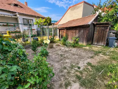De vanzare casa cu 3 camere, pivnita, garaj si 508 mp teren in Sibiu zona Centrala - foto 24