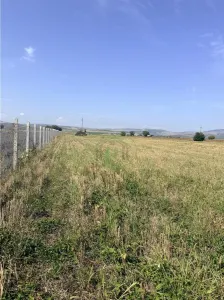 Teren DN2 B Buzau - Ploiesti - Sahateni ! - foto 4