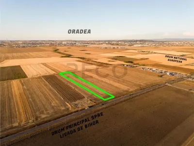 RECO Teren extravilan  5755 mp Oradea zona Drumul expres Oradea- Arad - foto 4