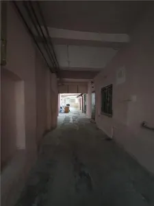 Casa si spatiu comercial zona Vasile Lascar - foto 8