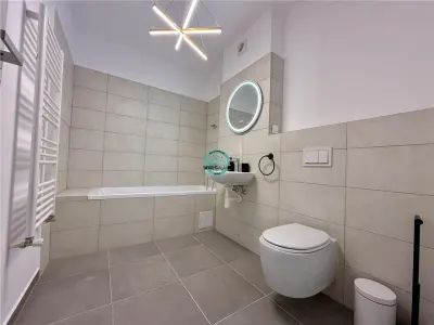Apartament cu 2 camere de inchiriat, cu parcare, complex Maurer - foto 7