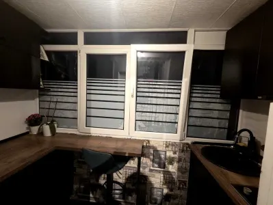 Inchiriere apartament Dristor - foto 6