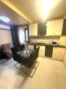 Apartament 2 camere , centrala proprie , zona Aradului - foto 4