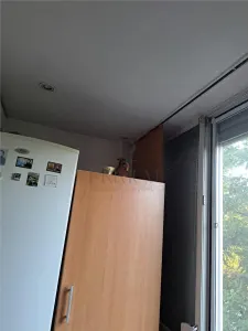 LIPOVEI - 3 CAM | 2 BAI | 2 BALCOANE | RENOVAT | DECOMANDAT | - foto 9