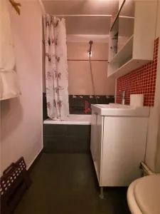 4 camere decomandat Piata Delfinului - foto 12