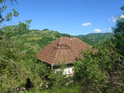1,3 haTeren si cladiri in Blajeni - Blajeni