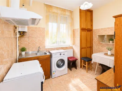 2 camere, regim vila, zona linistita, Tractorul, Octavian Goga - foto 2