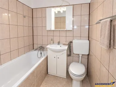 2 camere, regim vila, zona linistita, Tractorul, Octavian Goga - foto 4