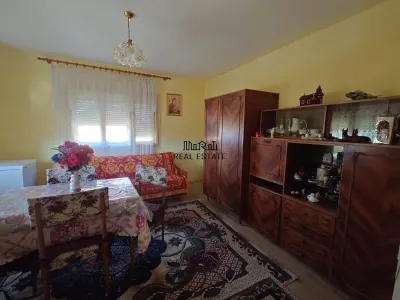 Casa si Teren Criscior - foto 4